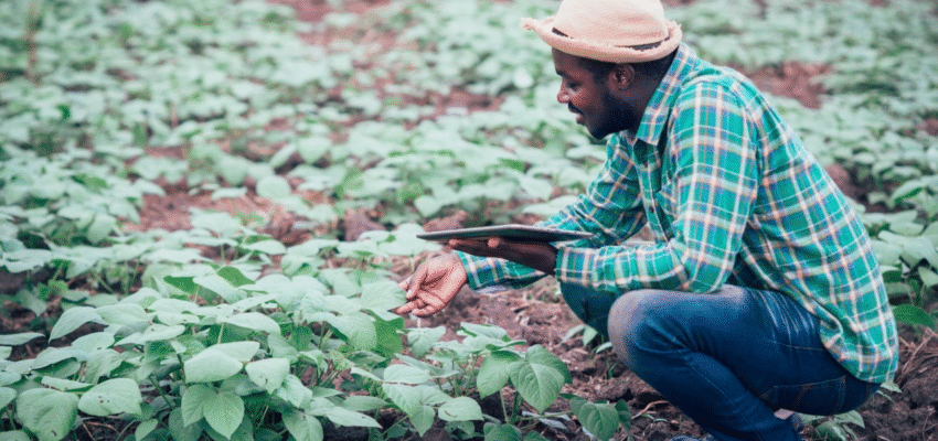 AI in Agriculture: Linkbridge’s Financing for Climate-Resilient Farms