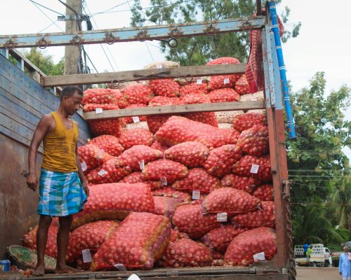 pexels-bhuyan-14203300