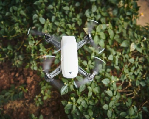 pexels-darrel-und-217939-1087184