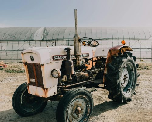 pexels-gu-ko-2150570603-31321922