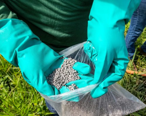 pexels-leiliane-dutra-1841922-25974981